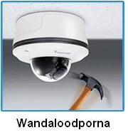 Wandaloodporna FD8134V VIVOTEK